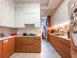 Parc Oasis (D22), Condominium #559559421